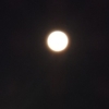 早朝に見た満月