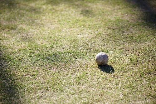 芝生とボール