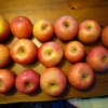 りんご１５個