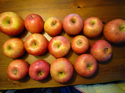 りんご１５個