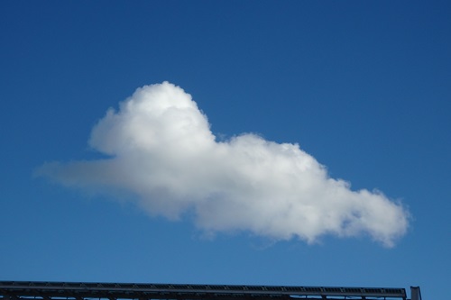 犬の形の雲