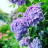 20250527の素材
