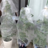 防虫ネット