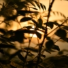 20251026の素材